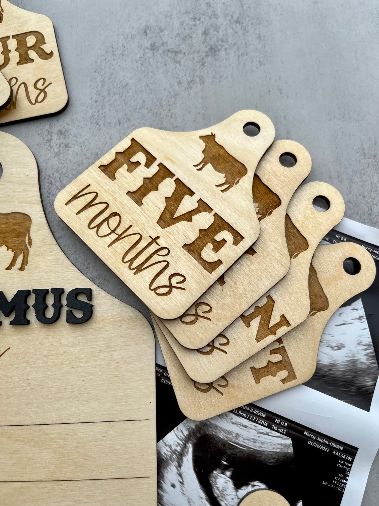 Cow Ear Tag Milestones | Birth Stat Sign