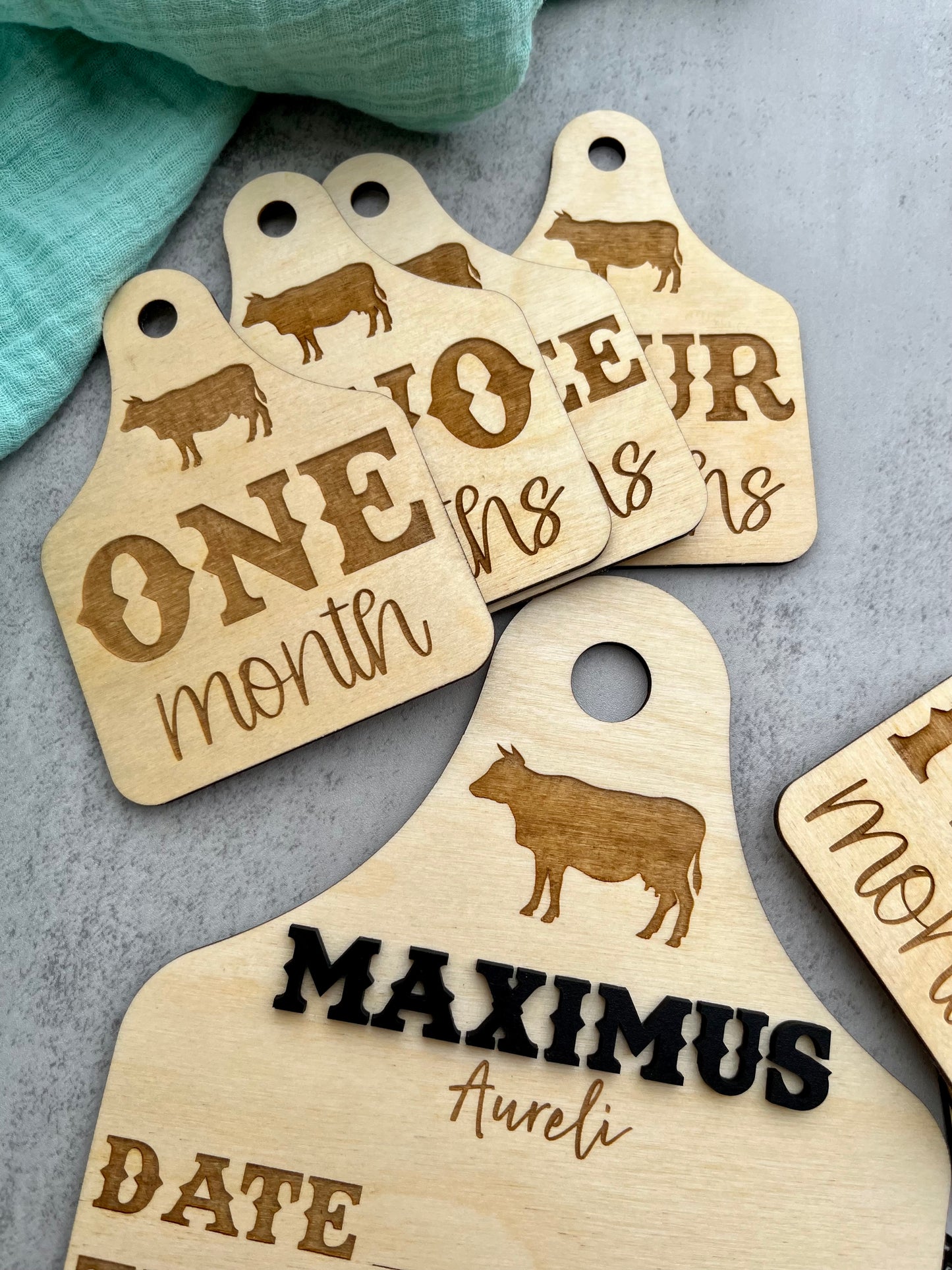 Cow Ear Tag Milestones | Birth Stat Sign