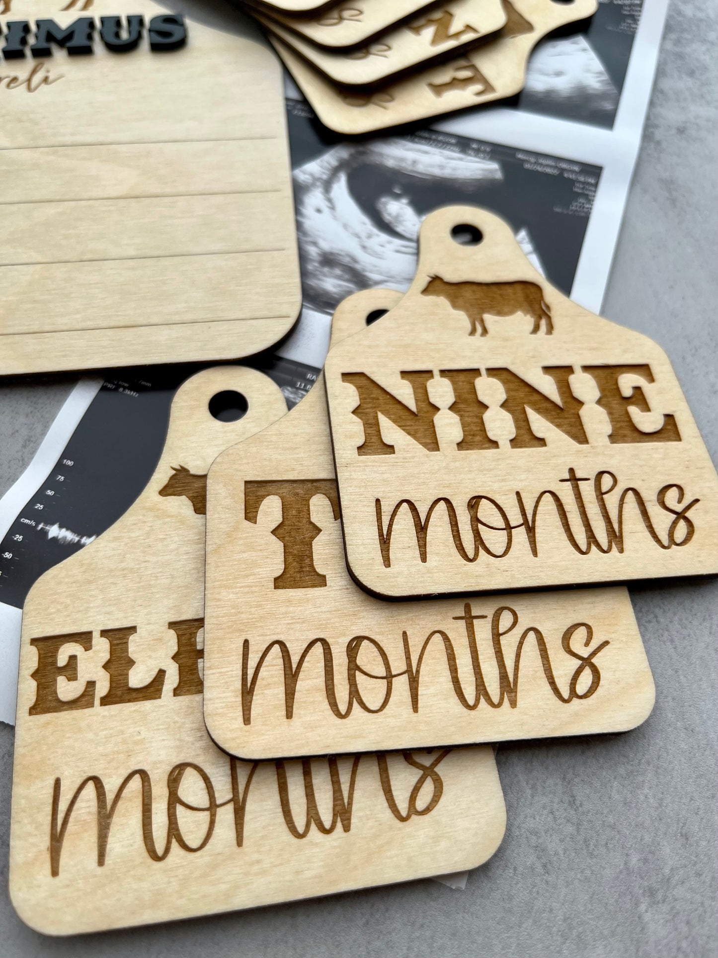 Cow Ear Tag Milestones | Birth Stat Sign