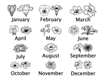 Birth Flower Sign